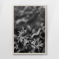 PN-062W093