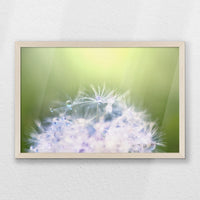 PN-060W040