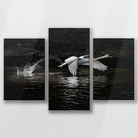 LW-060T040