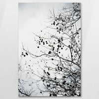 AC-060W090