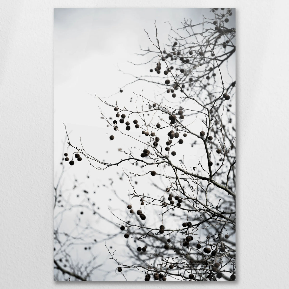 AC-060W090