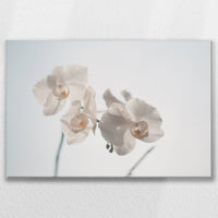 LW-075W050