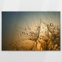 LW-120W080