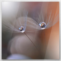 AL-030W030