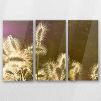 AC-060R040