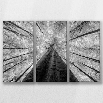LW-060R040