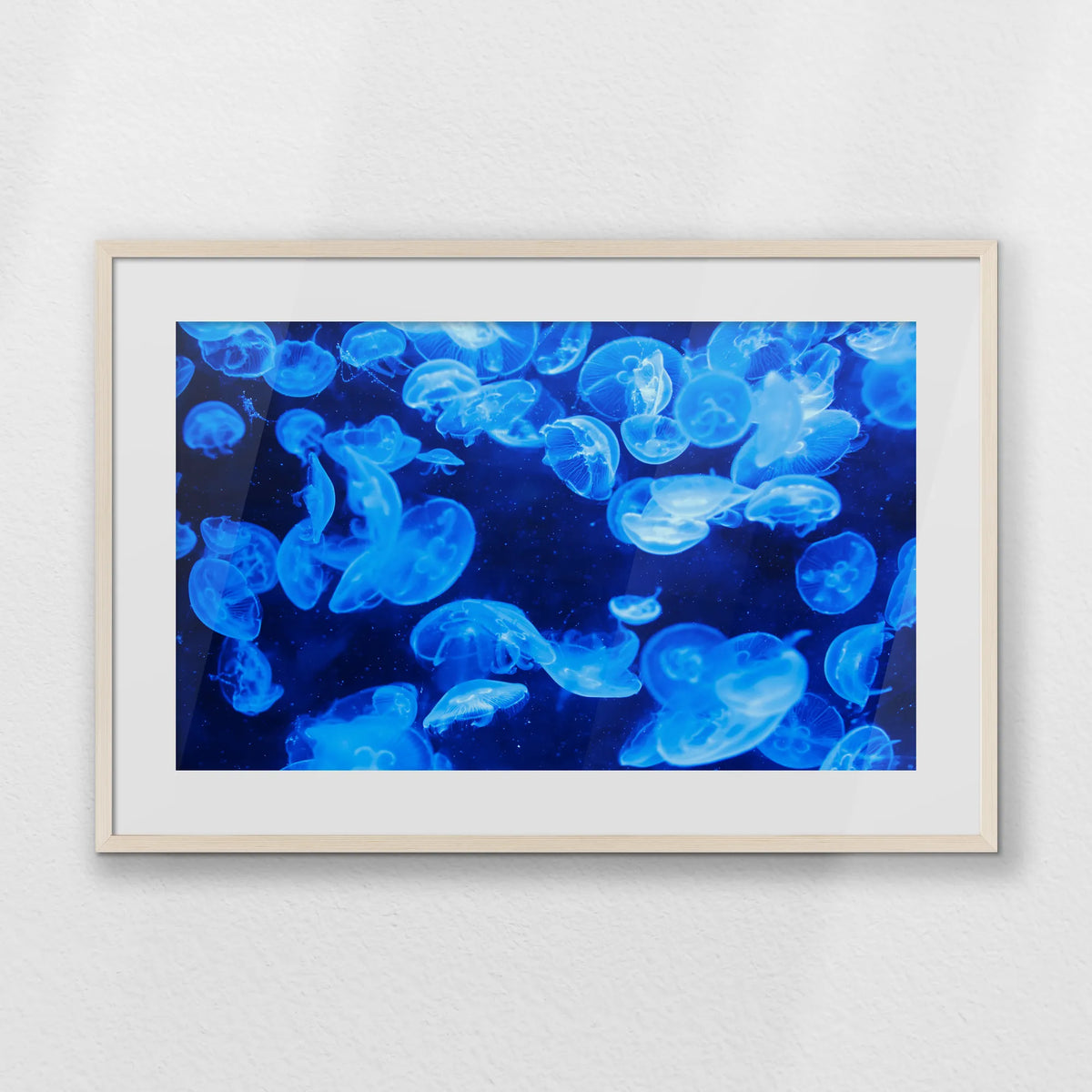 PNP093W062