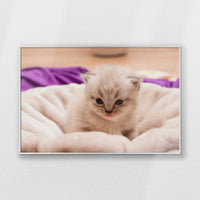 PS-093W062