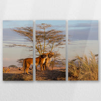 AL-060R040