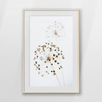 PNP070W100
