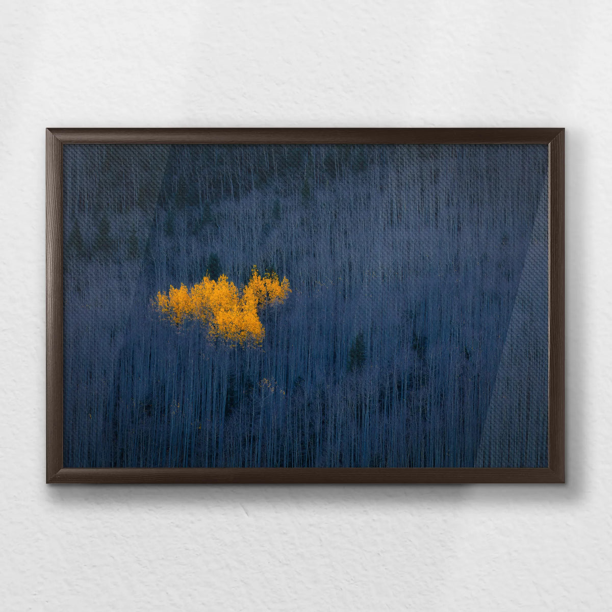 LWN060W040