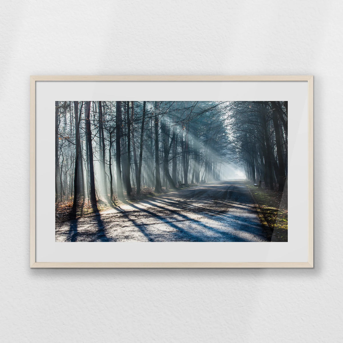 PNP093W062