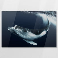 AC-075W050
