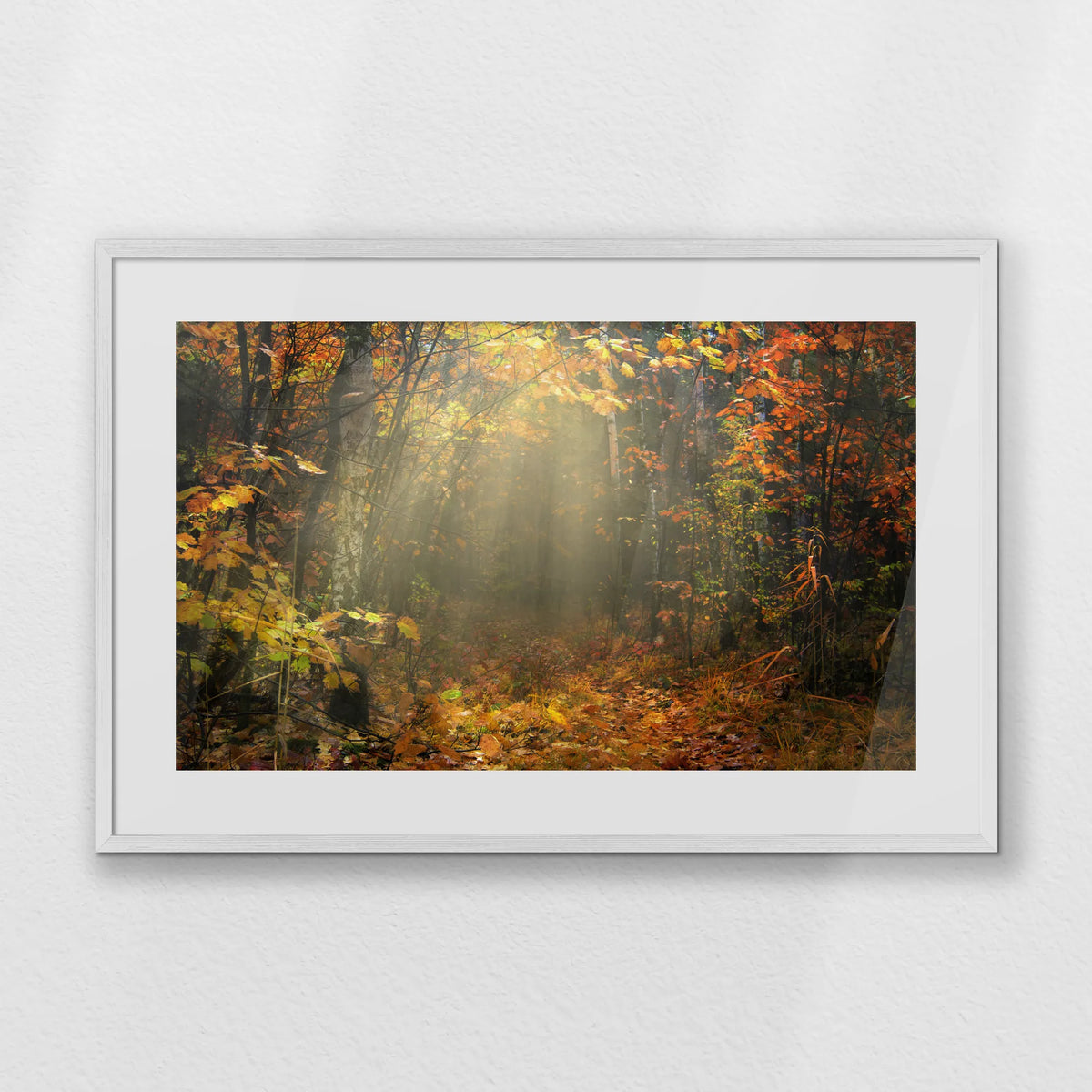 PWP093W062