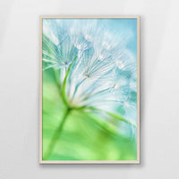 PN-062W093