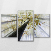 LW-090T060