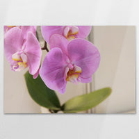 AL-120W080