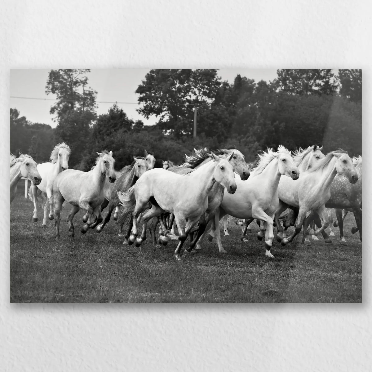 AL-060W040