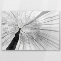 AC-060W040
