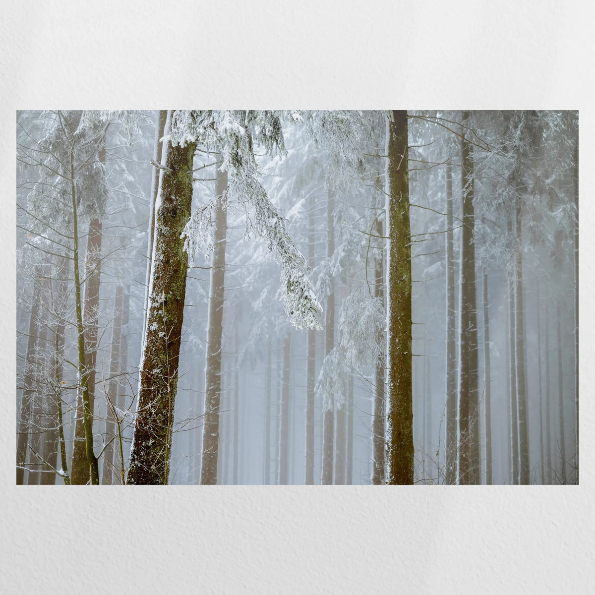 PO-090W060
