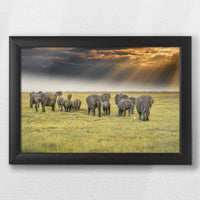 LWB030W020