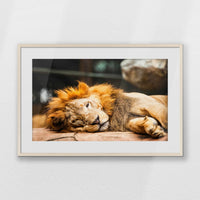 PNP093W062