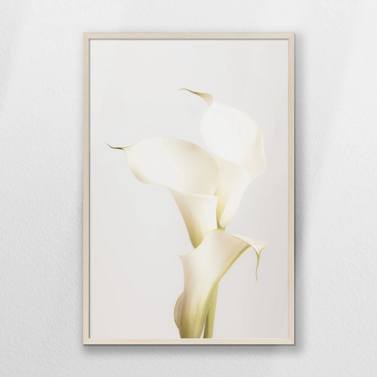 PN-062W093