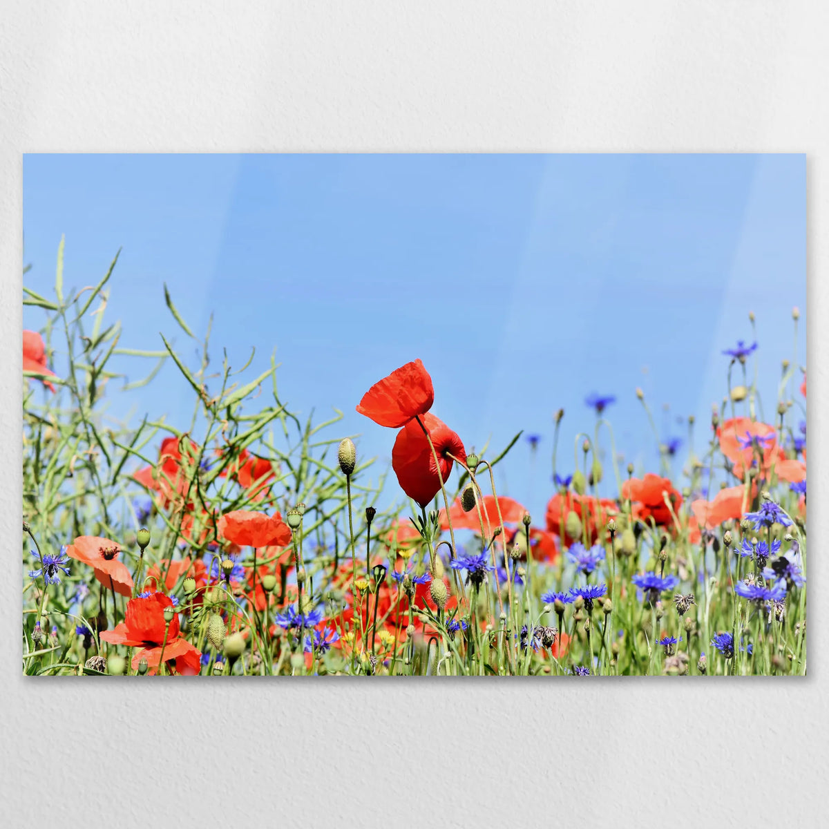 AL-120W080