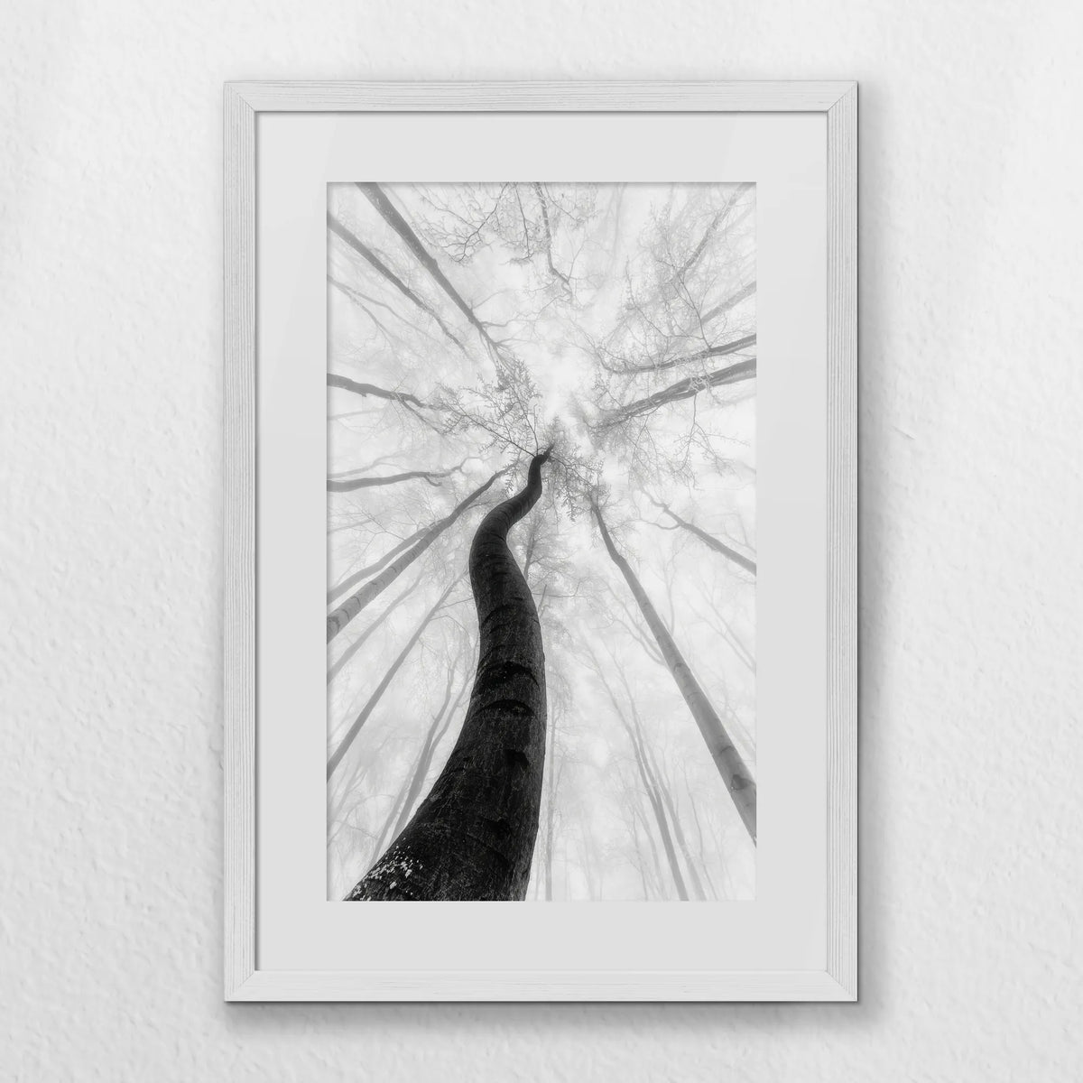 PWP040W060
