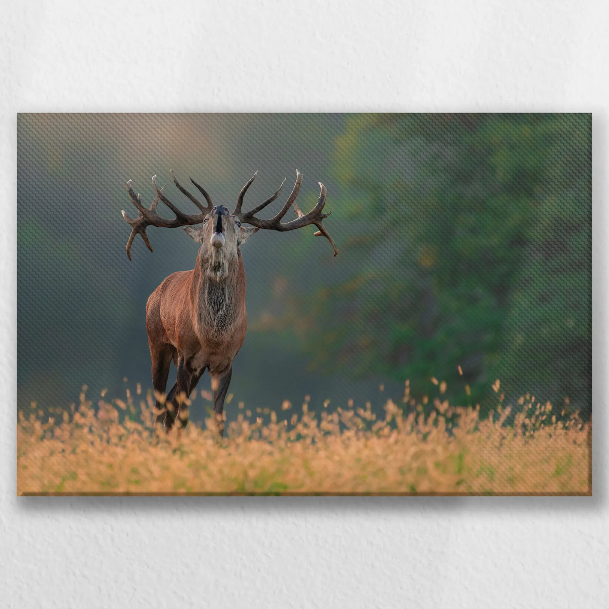 LW-030W020