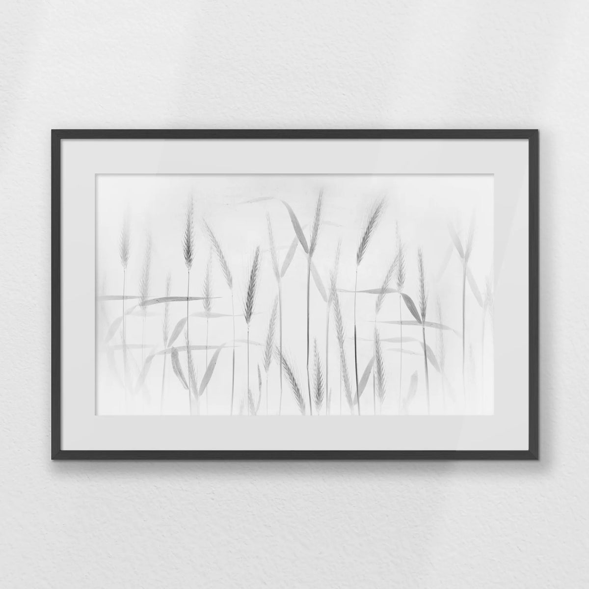 PKP093W062