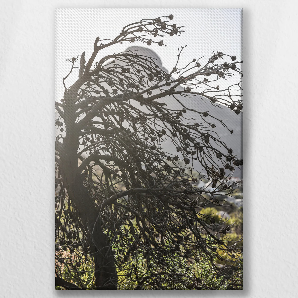 LW-020W030