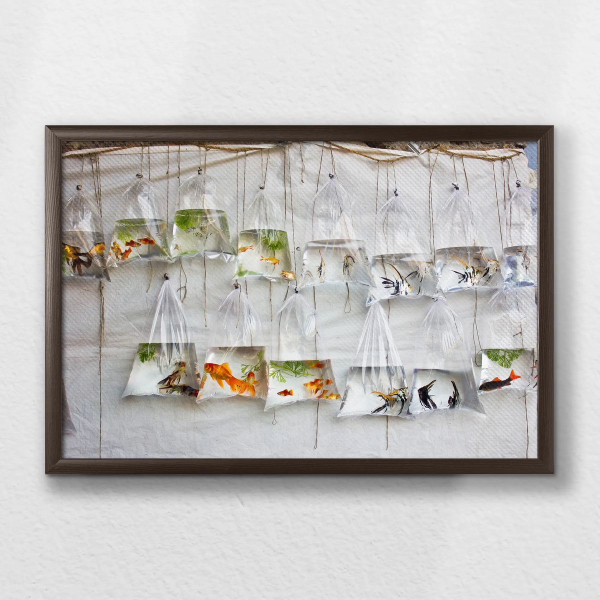 LWN060W040