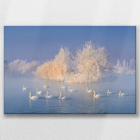 LW-045W030