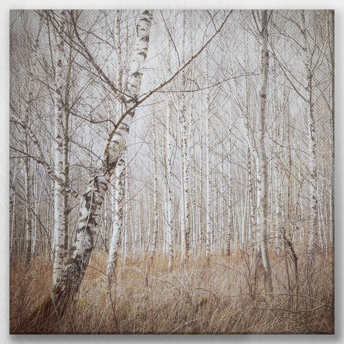 LW-040W040