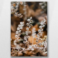 LW-050W075