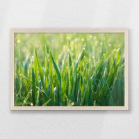 PN-060W040
