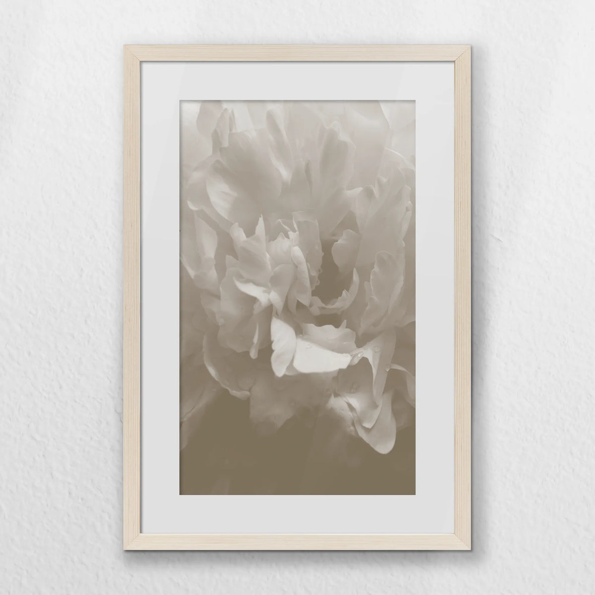 PNP040W060
