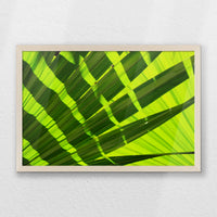 PN-060W040