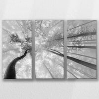LW-060R040