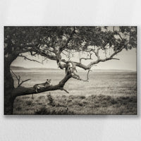 LW-060W040