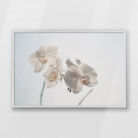 PW-093W062