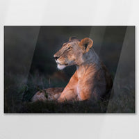 AC-075W050