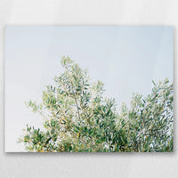 AC-040W030