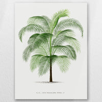 AC-045W060