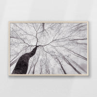 PN-093W062