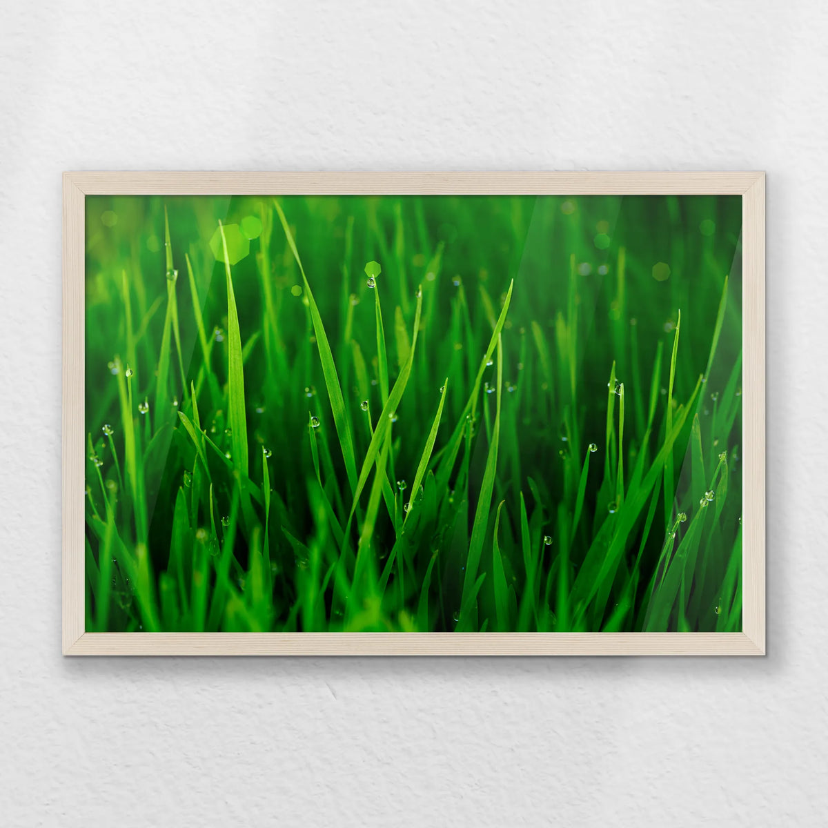 PN-060W040