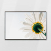 LWN120W080