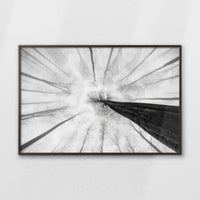 LWN120W080