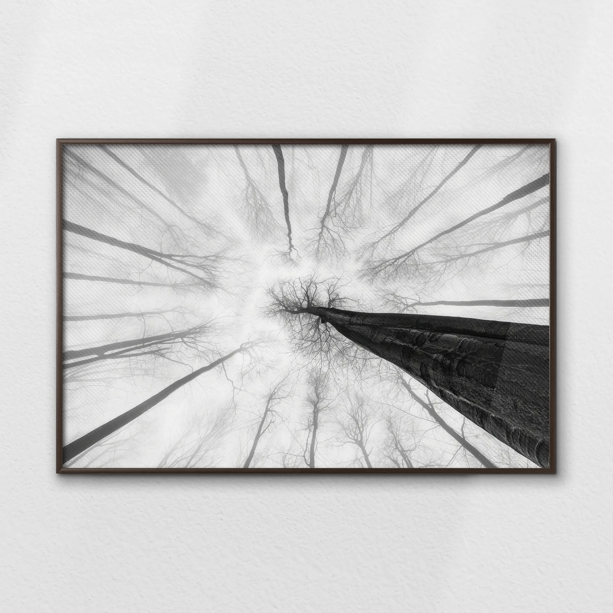 LWN120W080